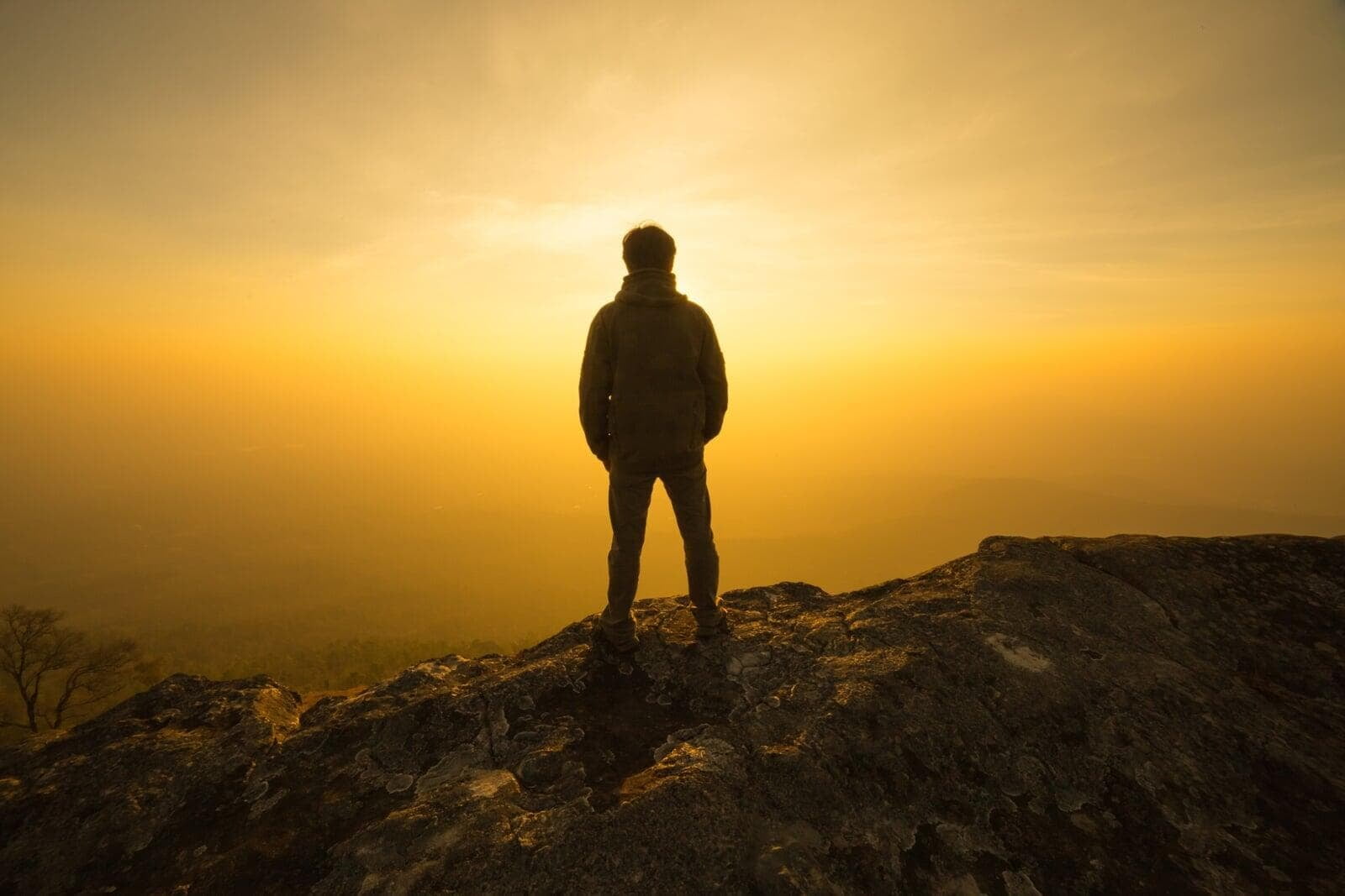 The Journey to Extraordinary Leadership: 12 Month Plan